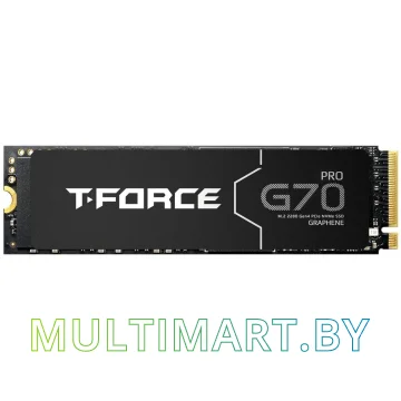 SSD диск Team T-Force G70 PRO 1TB (TM8FFH001T0C129)